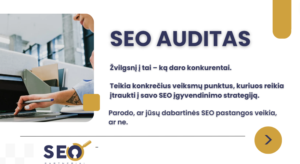 seo auditas